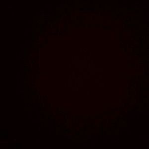 Meet your Posher, Pat